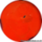Poppy No.21