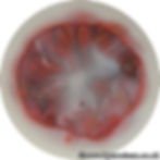 Poppy No.19