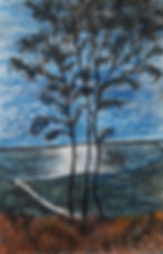 NightTreesBeach 0425_KPSMcLean