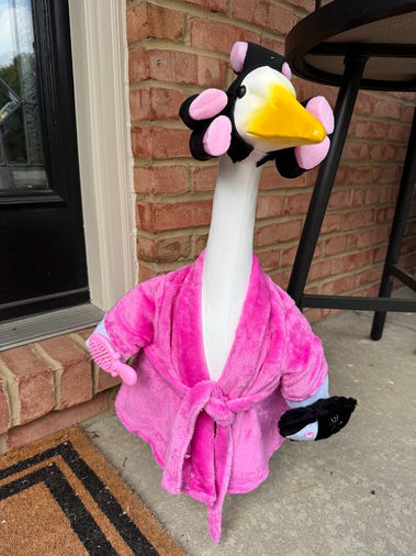 Dealia’s adorable Bathrobe Outfit just dropped UNDER $10!!