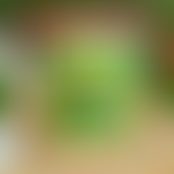 100s of you grabbed this Stocking Stuffer yesterday, but I’m seeing it even lower today. Clip the coupon!