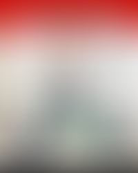 3 of my girlfriends own this vacuum and SWEAR by it!!