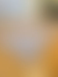 Score 25% OFF (no code needed) this Bedsure Machine Washable Rug! It's very thin and very soft and has gripping on the bottom.