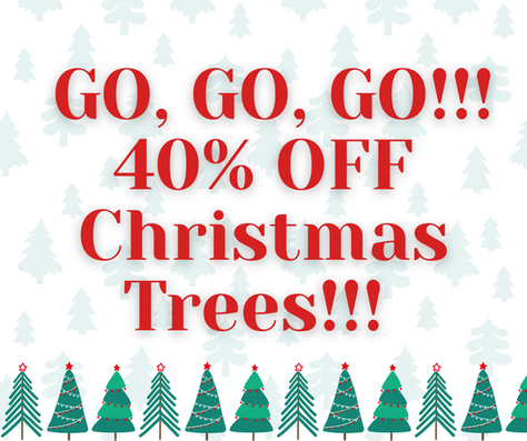 GO, GO, GO!!! 40% OFF Christmas Trees!!!