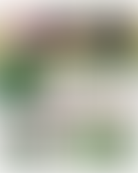 My kids and I are SO EXCITED for Wicked 2 to come out next month!! I found a TON of fun stuff over at Target, but trust me = buy online. There’s hardly anything left in stores.