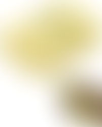 π¨ BUTTER ME UP, DEAL LOVERS! π§
