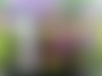 Up to 50% OFF Sun Bum!!! 🔆🔆