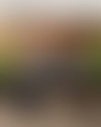 Y'all...I've had my eye on this Blackstone for over a year now!! I love that this one has a lid. Blackstone 28" Griddle with Front Shelf and Cover 31% OFF + Free 1-Day Shipping.