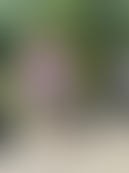 Anyhoo...check out this adorable 2-Piece Set on my little star, 30% OFF today.