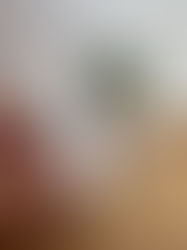 FREEEEEE alert!! 🚨✨