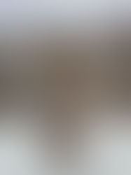 Besties… I just tried the NEW Olaplex Nº.3PLUS and I’m kind of shook. 🤯