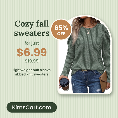 Cozy fall sweaters for $6.99!