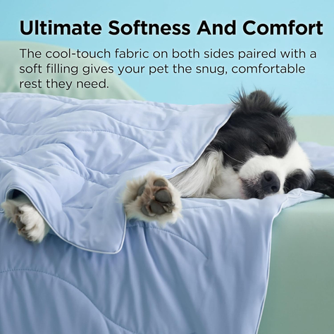 I just grabbed this for Benji!