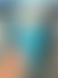 YESTERDAY’S BEST SELLERS