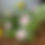 Thumbnail: Medium Floral Design