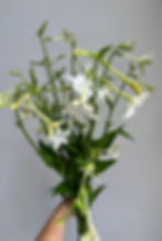 Thumbnail: The Flower Farmers Book
