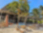 PXL_20240905_204258492_edited.jpg