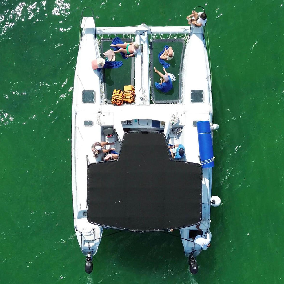 Thumbnail: Private Catamaran 39 ft - My Love- Yacht Rental - Booking Fee