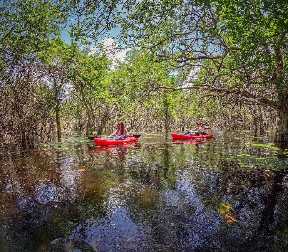 Thumbnail: Kayak Tour - UMA San Manuel - Deposit Only