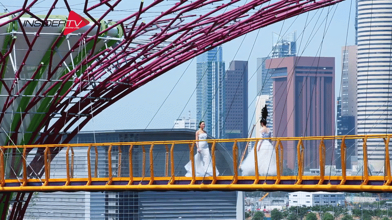 Gardens by the Bay Singapore Catwalk.gif