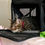 Thumbnail: Jade - Purebred Toyger female cat