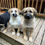 Thumbnail: Knox - male puppy