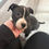 Thumbnail: Pickles - female puppy