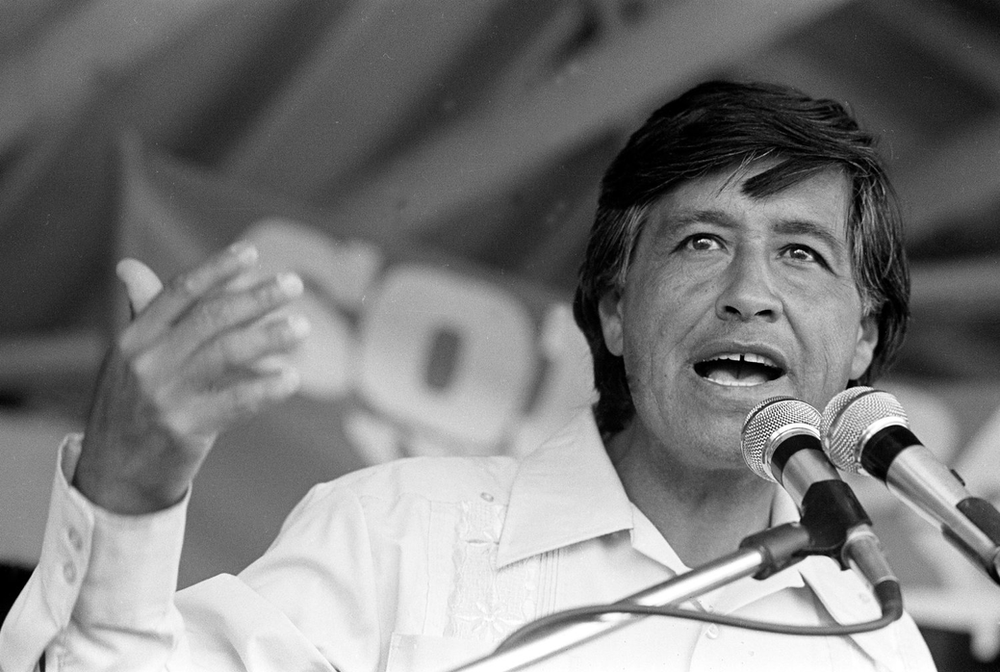 analytical essay on cesar chavez