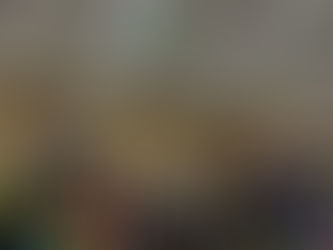 Rede de supermercados do RS implementa caixas sustentáveis em todas as suas lojas