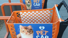 Carrinhos PET nos supermercados de bairro: um diferencial que aproxima ainda mais os clientes da sua loja