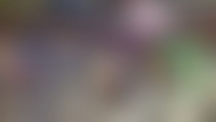 Promoções de ovos de chocolate: estratégia essencial para aumentar as vendas na Páscoa nos supermercados