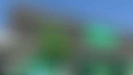Amazon amplia investimentos em Inteligência Artificial