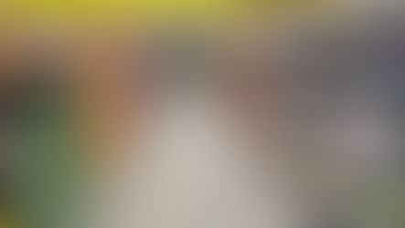 O Radar que Antecipa: Como a auditoria no varejo alimentar virou motor de resultados em 2026