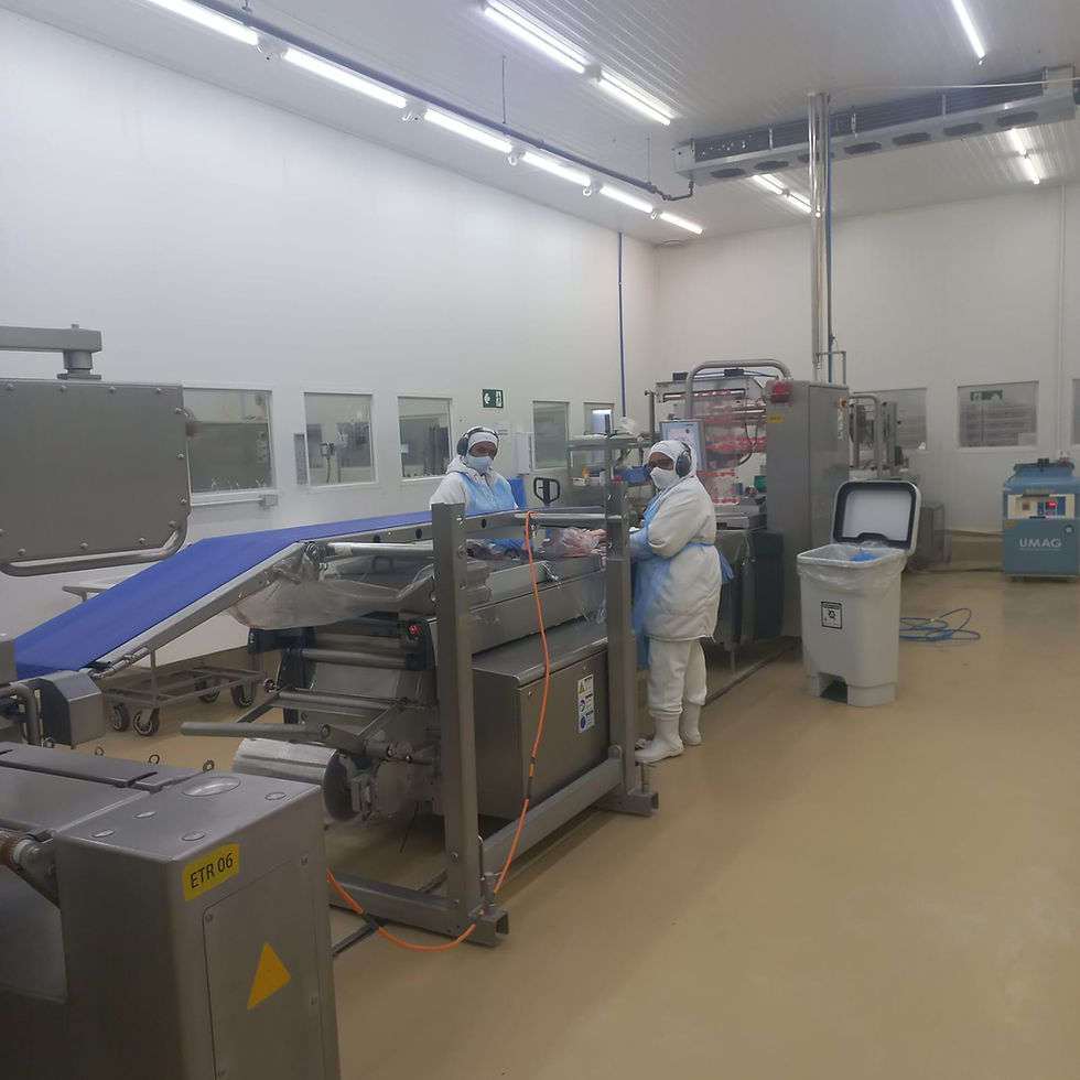 Funcionários de branco operam máquinas em fábrica. Ambiente limpo, com chão bege e esteira azul. Emoção neutra e foco na produção.