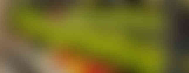 verduras supermercado abc