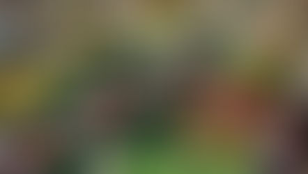 Super Mercadinhos São Luiz: expansão no Ceará com foco em novas bandeiras e interior do estado