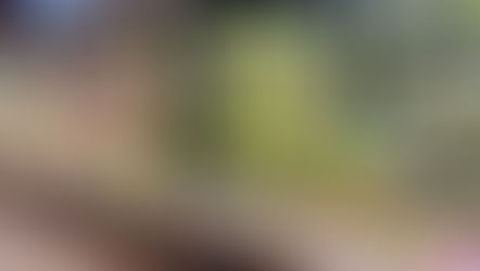 Novas Categorias em Alta: Como Orgânicos, Plant-Based e Saudáveis Estão Transformando o Mix de Produtos no Supermercado