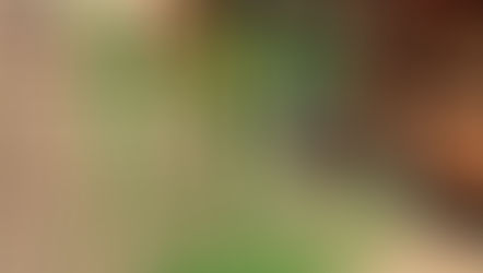 Zinco e Arte, há 10 anos sendo referência em reforma e fabricação de carrinhos para supermercado