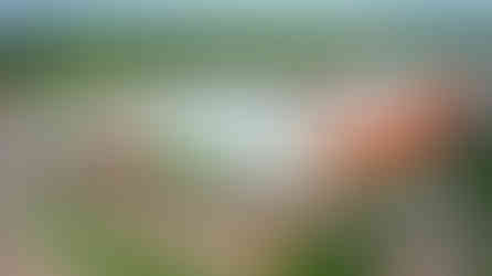 atacale supermercado rio branco