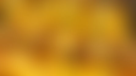 Pão Doce Vanderleia Coco Fresco: qualidade que conquista e sabor que faz o cliente voltar da Valochi Sousa Pães Congelados