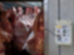 Carcaças de carne penduradas em gancho em câmera frigorífica, com dispositivo VALIoT monitorando temperatura. Fundo metálico e carne vermelha.