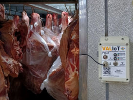 Silvana Crespo destaca solução da VALIoT: como o monitoramento inteligente pode reduzir perdas e aumentar a produtividade no varejo