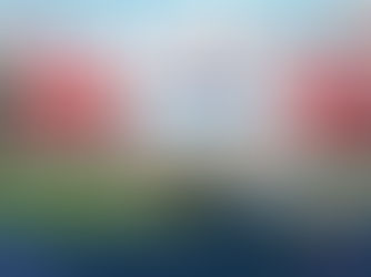 Loja aberta e deficitária não é ativo. É problema?