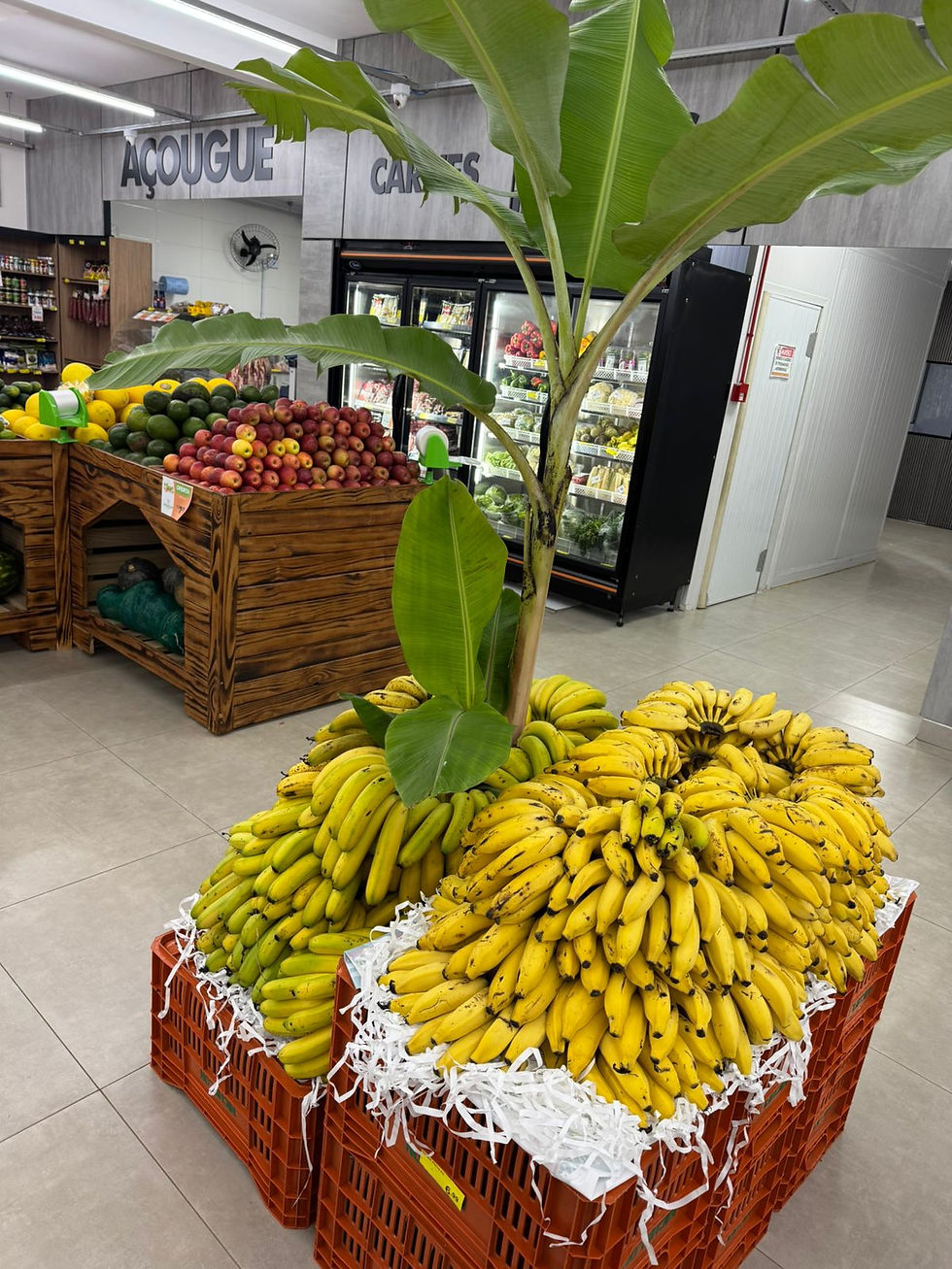 Bananas amarelas em caixas vermelhas em supermercado. Plantas e frutas no fundo. Sinal de açougue visível. Ambiente claro e organizado.