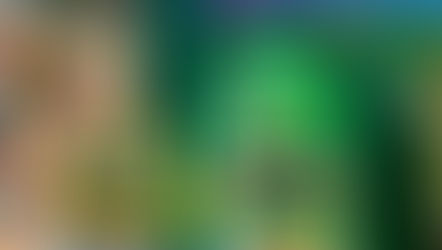 Orquídea Alimentos leva personagem Bob Esponja para ExpoSuper