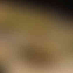 hortifruti em supermercado