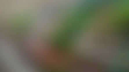 Calendário Promocional no Supermercado: como vender mais no Dia das Mães – 10 de maio de 2026