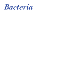 Biener Quadrat 9_20217.png