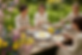 Photoroom_20260422_094804.png