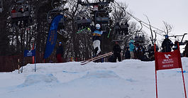 We Are Getting Moguls!